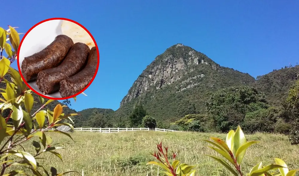 Los visitantes pueden disfrutar de hermosos paisajes y vivir la experiencia de tomar un desayuno al estilo inglés. Foto: composición LR / X Los visitantes pueden disfrutar de hermosos paisajes y vivir la experiencia de tomar un desayuno al estilo inglés. Foto: composición LR / X