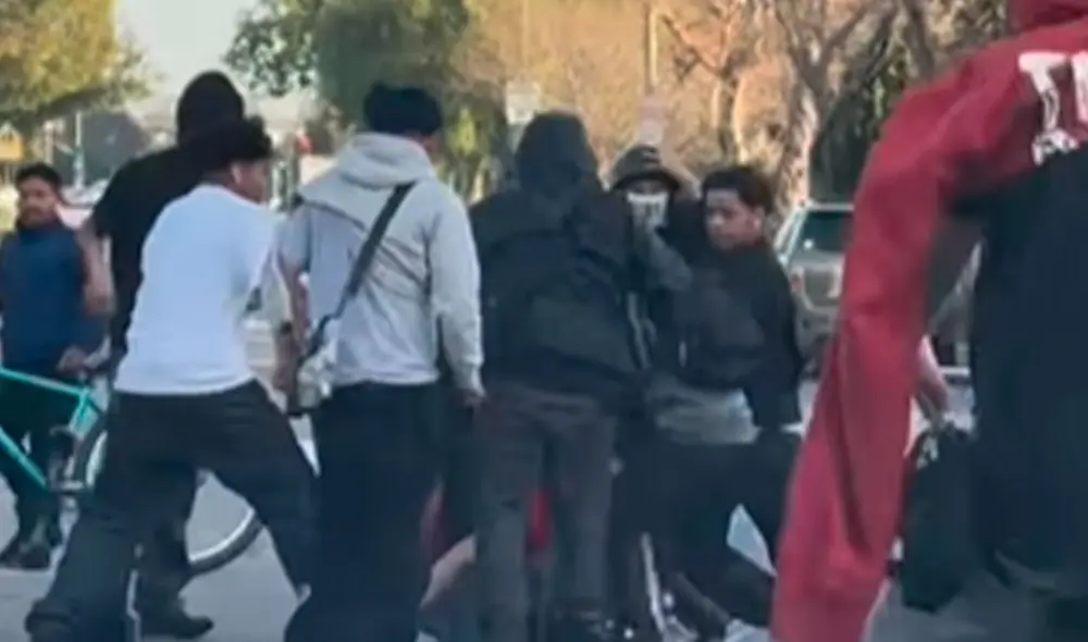 "Le dieron patadas en la cabeza y en el cuerpo. No tenían ninguna compasión", contó Dimitri Kermani, testigo del delito. Foto: Instagram.