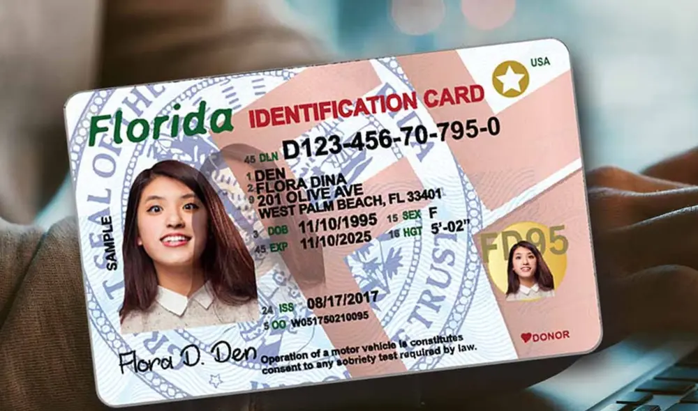 La Real ID es el documento que solicitan los inmigrantes. Aquí te mostramos los documentos que necesitarás. Foto: Palm Beach County Tax Collector