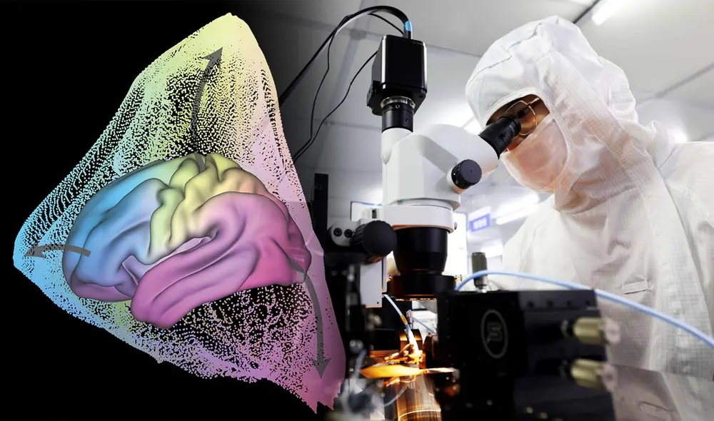 Investigadores en China han identificado tres "autopistas de información" en el cerebro humano, revelando su organización y relación con la genética, según el Journal of Neuroscience. Foto: composición LR/China Daily