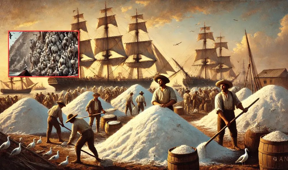 El guano es un fertilizante natural compuesto principalmente de excremento de aves marinas y focas. Foto: composición LR/chatgpt El guano es un fertilizante natural compuesto principalmente de excremento de aves marinas y focas. Foto: composición LR/chatgpt