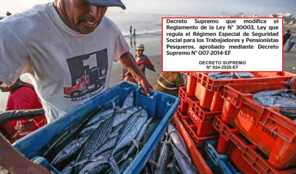 Pescador, pescado, decreto supremo. Foto: composición LR/Andina/captura de pantalla Pescador, pescado, decreto supremo. Foto: composición LR/Andina/captura de pantalla