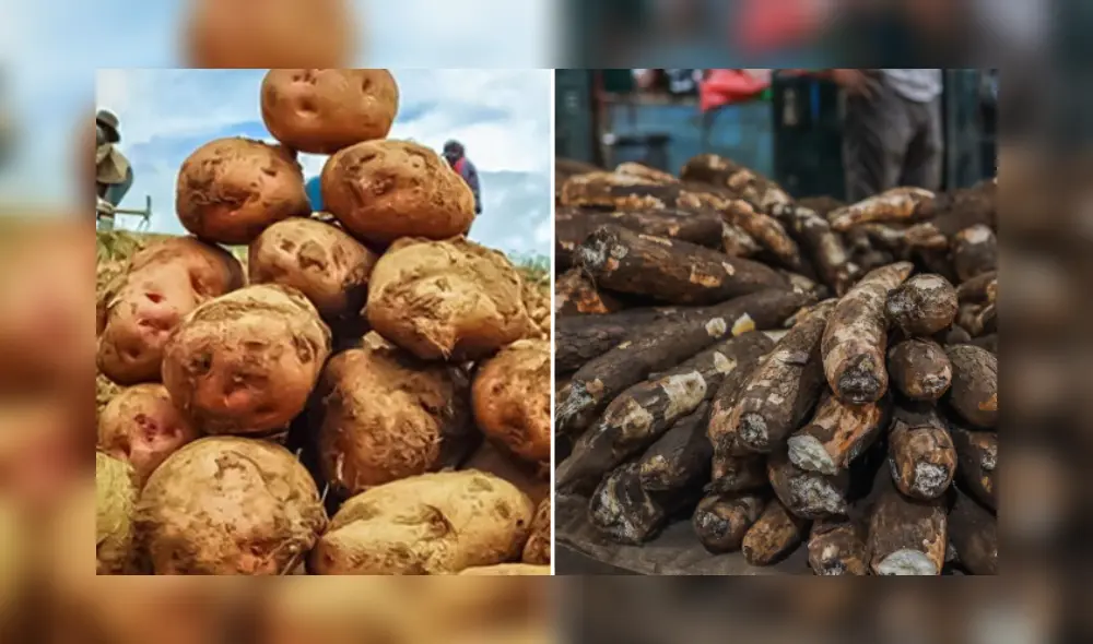 Su riqueza nutricional lo convierte en una opción ideal para quienes buscan una dieta balanceada. Foto: composición LR/Midagri