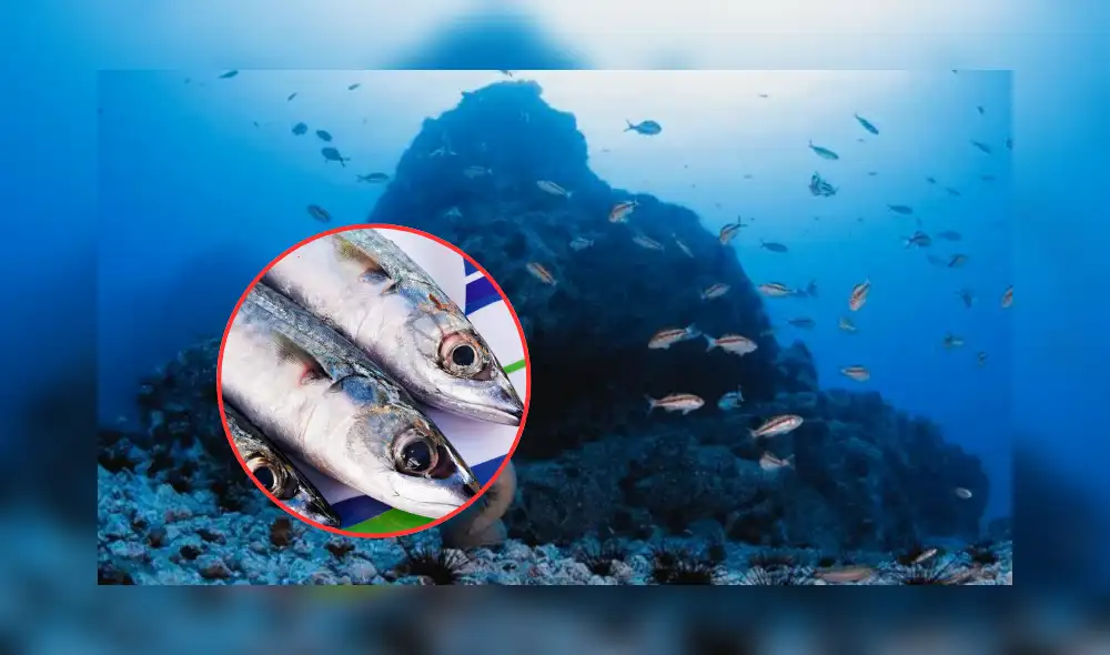 Su consumo es fundamental para mantener una piel radiante. Foto: composición LR/Produce