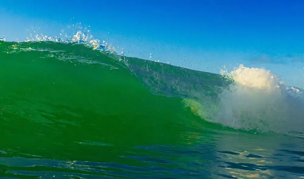 Investigadores revelan que los océanos primitivos eran de un verde vibrante y no azules como se conocen hoy, gracias a simulaciones científicas. Foto: IStock