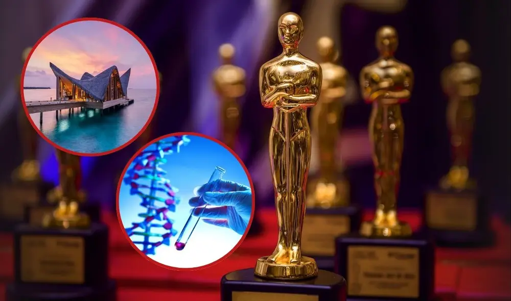 La bolsa de 61 regalos de lujo que ganan los actores nominados al Óscar: viajes a destinos paradisíacos, test genéticos y hasta marihuana. Foto: composición LR/BBC/Booking/Freepik.