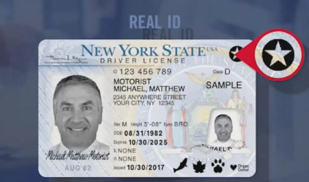 Conoce hasta cuándo tienes para sacar el Real ID en Nueva York. Foto: Univisión