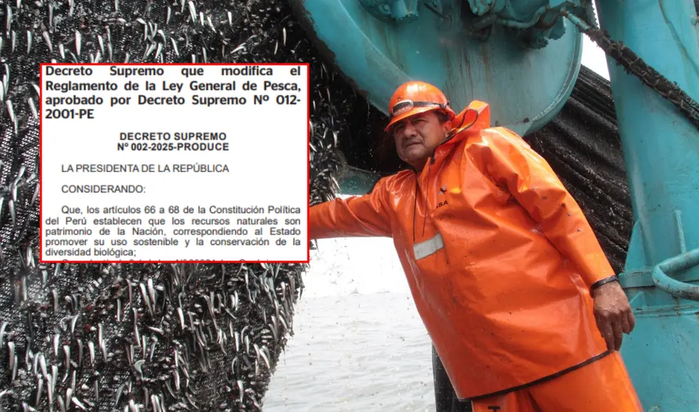 Pescadores artesanales en faena dentro de las cinco millas marítimas. Foto: composición LR/Andina Pescadores artesanales en faena dentro de las cinco millas marítimas. Foto: composición LR/Andina