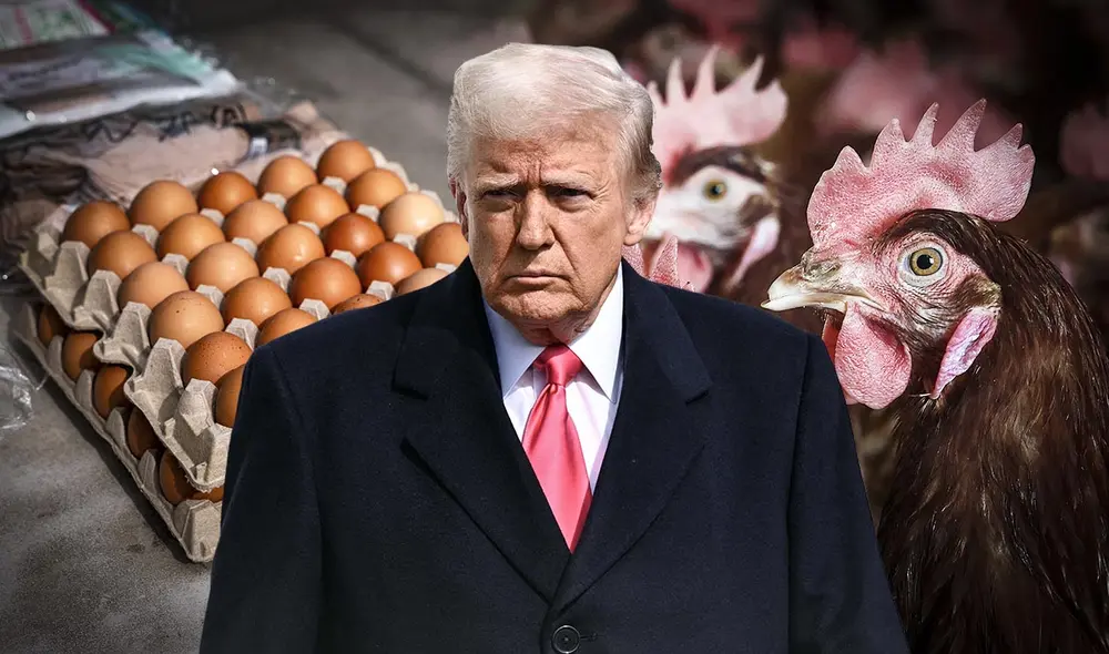 El gobierno de Donald Trump presenta un plan de US$1,500 millones para combatir el alza de precios de los huevos en EE. UU., afectado por la gripe aviar en la producción avícola. Foto: composición LR/AFP