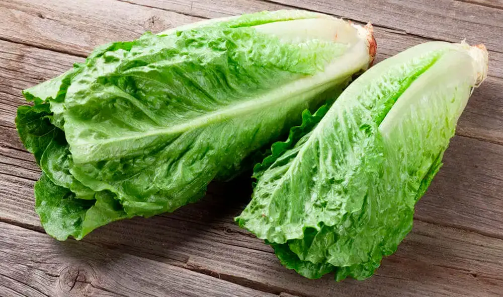 La lechuga, aunque tiene múltiples beneficios para la salud, no debe ser consumida en exceso. Foto: Frutas Olivar.