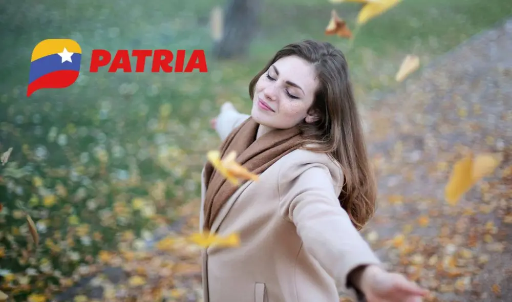 Los bonos de protección social se entregan todos los meses. Foto: composiciónLR/Freepik/Patria