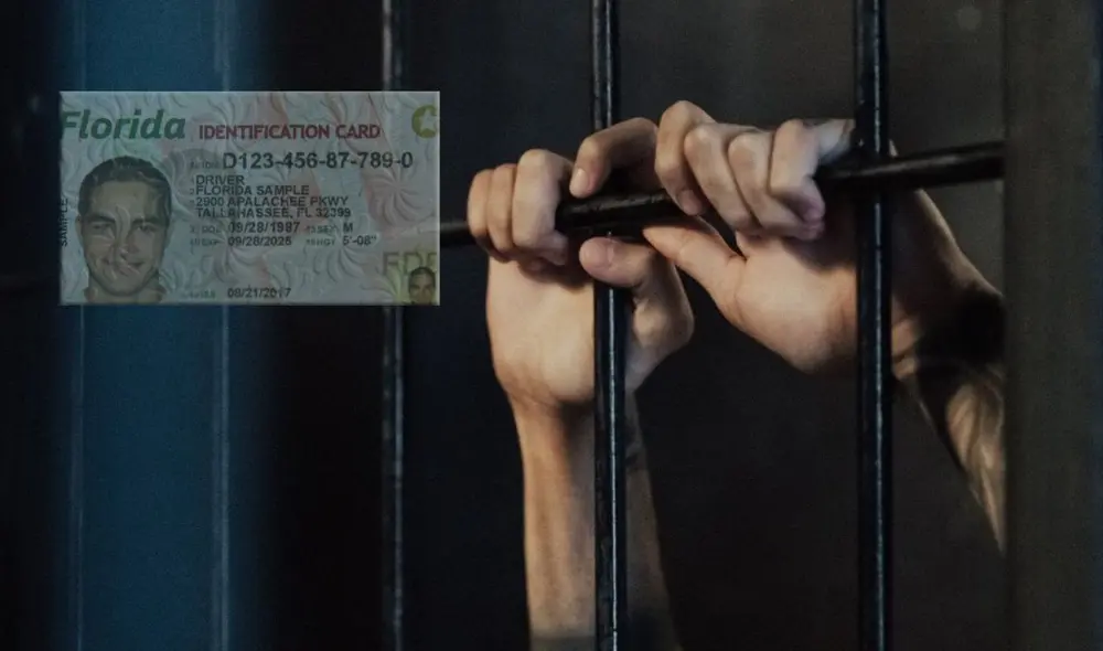 Descubre las sanciones por no portar licencia de conducir en Florida. Foto: Lr/CNN