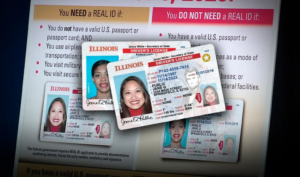 Los inmigrantes en Illinois cuentan con la posibilidad de obtener la licencia de conducir; sin embargo, deben cumplir con determinados requisitos. Foto: Composición LR