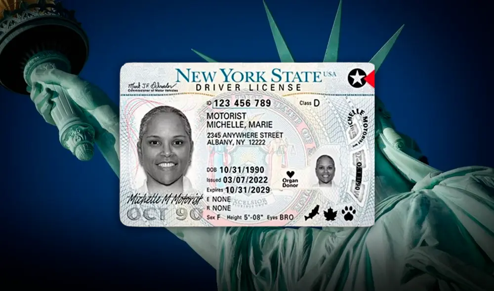 Los inmigrantes en Nueva York pueden conseguir la licencia de conducir presentando ciertos requisitos. Foto: Composición LR