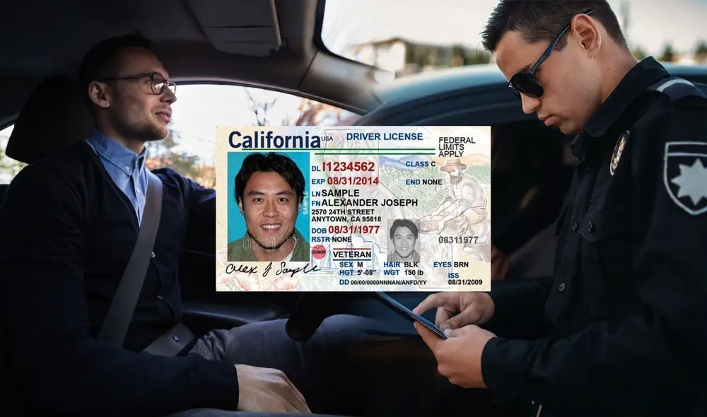 En California, el uso del cinturón de seguridad es obligatorio tanto para conductores como para pasajeros. Foto: composición LR/ Freeway/ Freepik