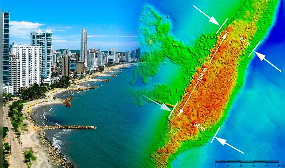 El hallazgo se logró gracias a un estudio detallado de la escollera de Bocagrande. Foto: Composición LR/90minutos/Tripadvisor.