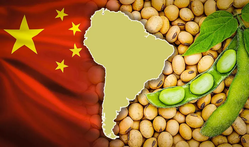 Brasil y Argentina se perfilan como los principales beneficiados de esta situación, ya que podrían aumentar sus exportaciones de soja hacia China, desplazando a los productores estadounidenses. Foto: composición LR/Shutterstock