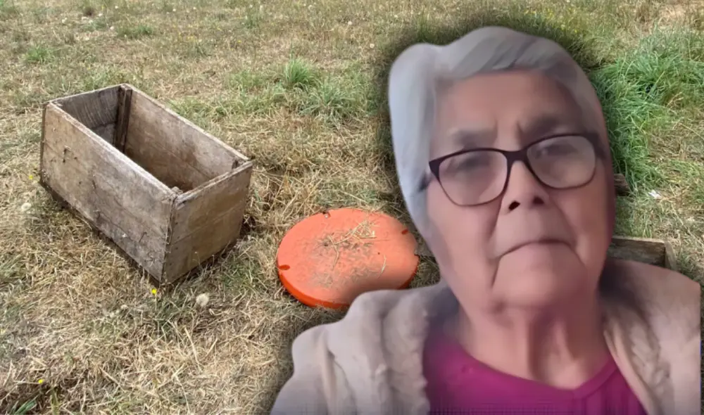 La trágica muerte de María Caricheo Pailalef, una mujer de 79 años, ha causado conmoción en Fresia. Foto: composición LR/bbcl