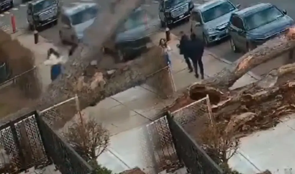 Momento impactante en Brooklyn, luego de que una familia estuvo a centímetros de ser aplastada por un árbol que cayó mientras paseaban por Bensonhurst. Foto: composición LR/@1010WINS