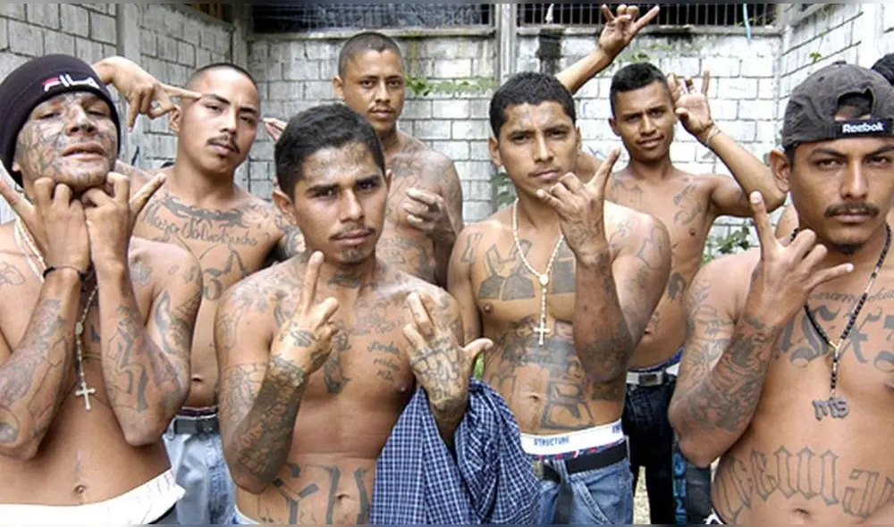 Los miembros de MS-13 deben someterse a crueles rituales de iniciación para unirse a la pandilla, y la deserción es castigada con la muerte. Foto: difusión.