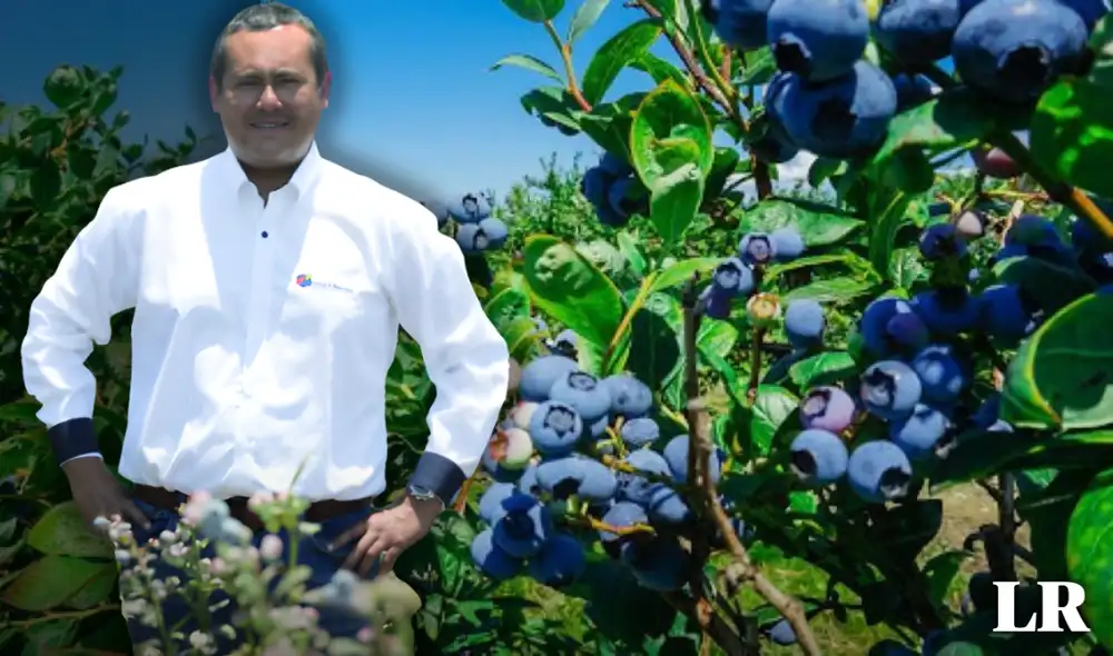 El ingeniero de la UNALM llevó al Perú a posicionarse como principal exportador en arándanos. Foto: composición LR/ Portalfruticola El ingeniero de la UNALM llevó al Perú a posicionarse como principal exportador en arándanos. Foto: composición LR/ Portalfruticola