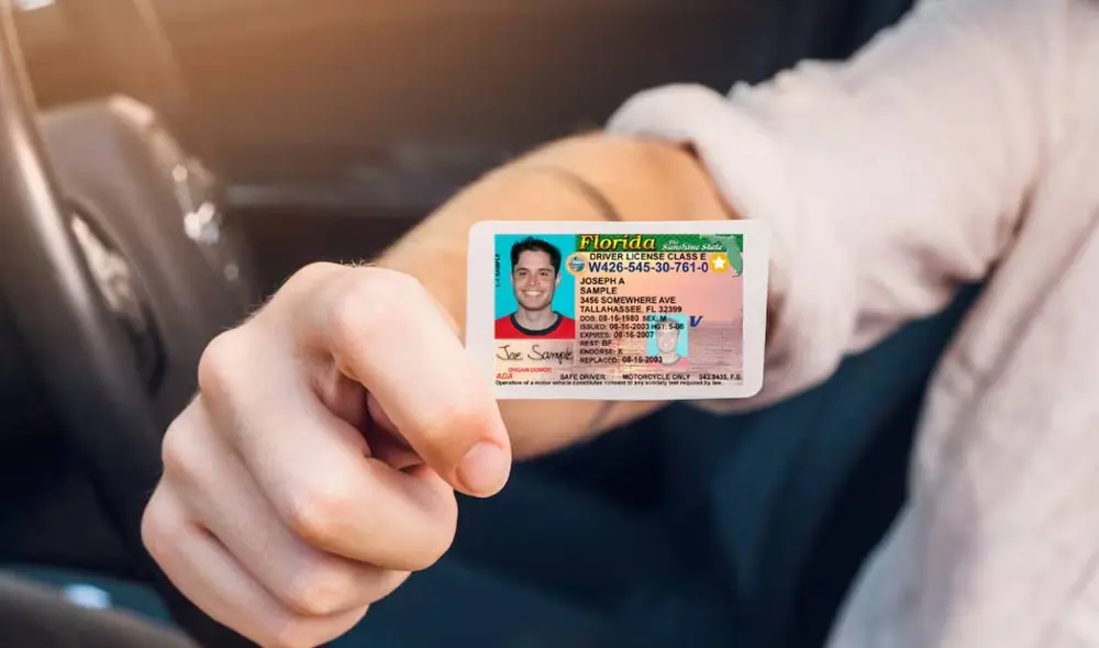 Licencia de conducir en Florida para los inmigrantes que perdieron el documento. Foto: RPP Licencia de conducir en Florida para los inmigrantes que perdieron el documento. Foto: RPP