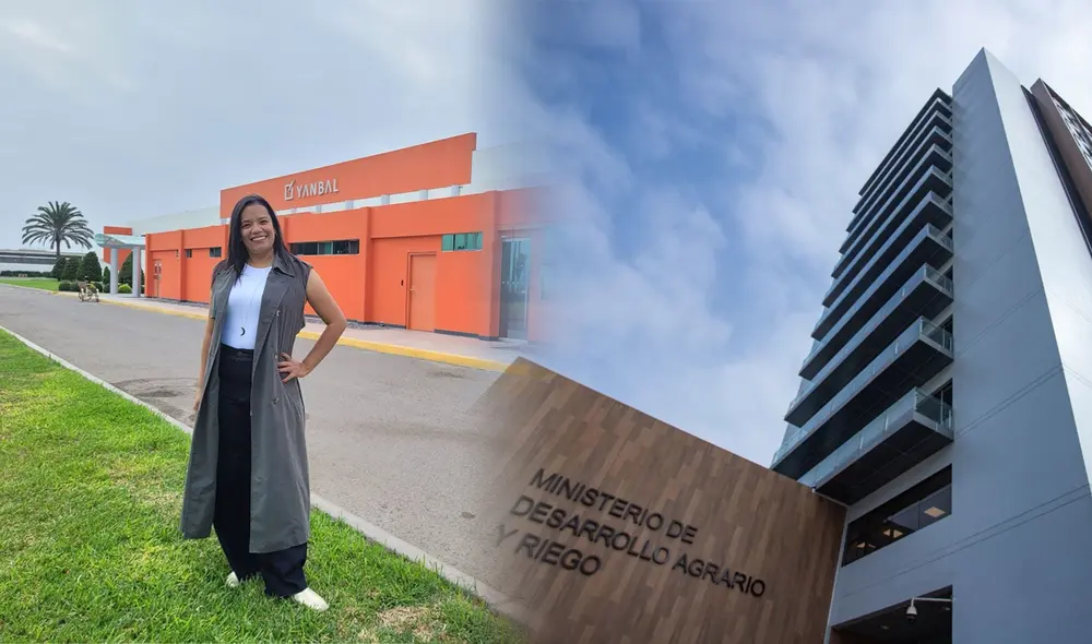 Trabajó por 14 años en un ministerio, pero cambió su vida vendiendo cosméticos en Ate: "Me gustó la independencia que me ofrecía". Foto: composición LR/Difusión/Andina. Trabajó por 14 años en un ministerio, pero cambió su vida vendiendo cosméticos en Ate: "Me gustó la independencia que me ofrecía". Foto: composición LR/Difusión/Andina.