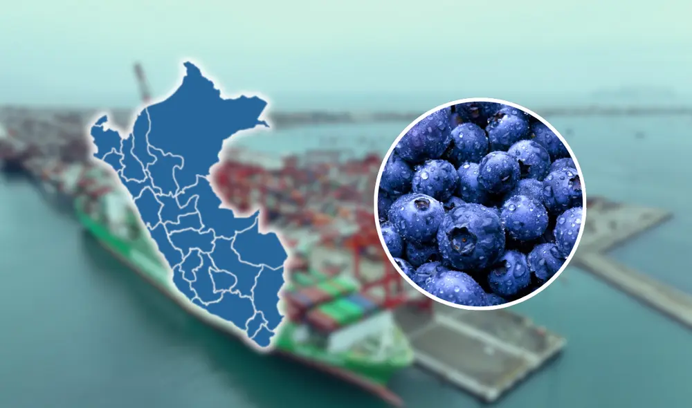 Agroexportaciones cerraron el 2024 con un récord de US$12.700 millones en ventas. Agroexportaciones cerraron el 2024 con un récord de US$12.700 millones en ventas.