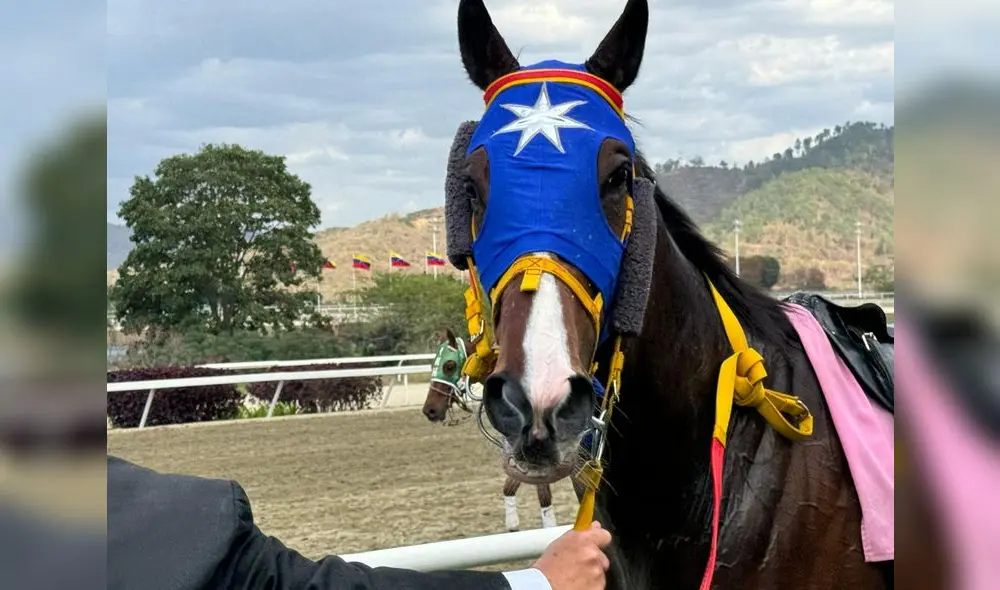 El 5y6 paga montos mayores a los 30 millones de bolívares. Foto: composición LR/INH