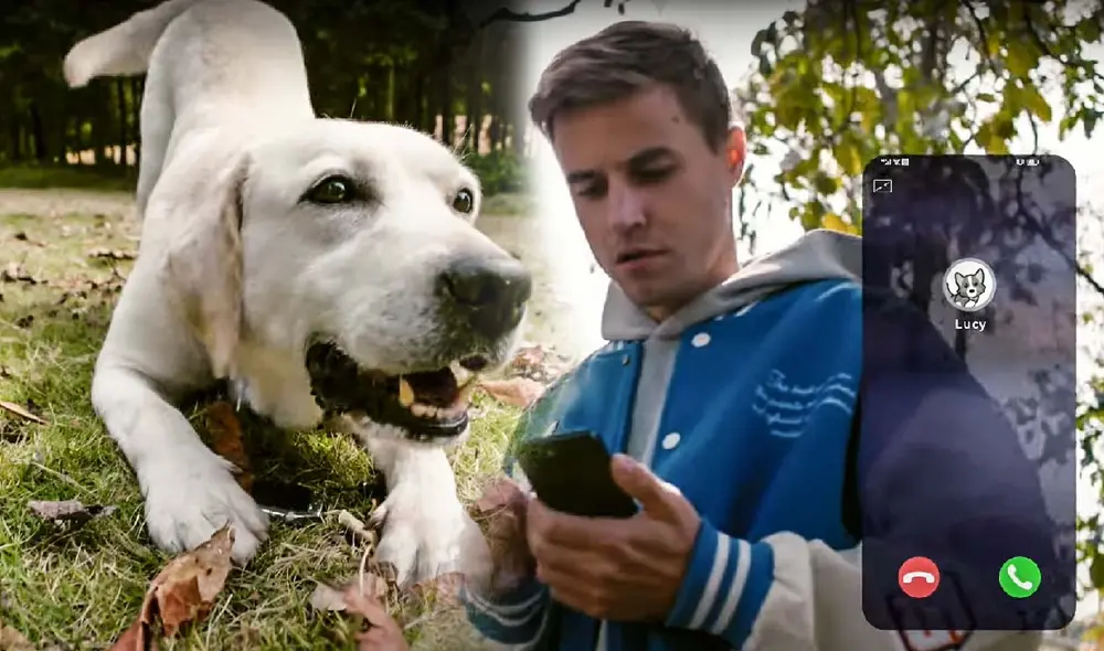 Con funciones avanzadas como localización GPS, seguimiento de actividad y sensores de salud, el PetPhone se posiciona como una solución integral para el cuidado de mascotas. Foto: composición LR/GlocalMe Con funciones avanzadas como localización GPS, seguimiento de actividad y sensores de salud, el PetPhone se posiciona como una solución integral para el cuidado de mascotas. Foto: composición LR/GlocalMe