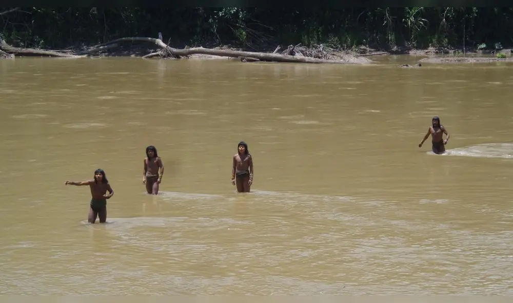 Pueblos indígenas en aislamiento en riesgo ante avance de actividades ilícitas. Foto: Mincul.