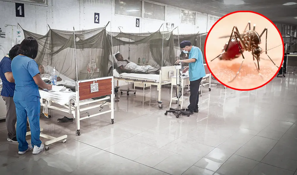 Crisis. En San Martín se están implementando uviclines para la atención de casos. En Loreto también reportan más pacientes. Crisis. En San Martín se están implementando uviclines para la atención de casos. En Loreto también reportan más pacientes.