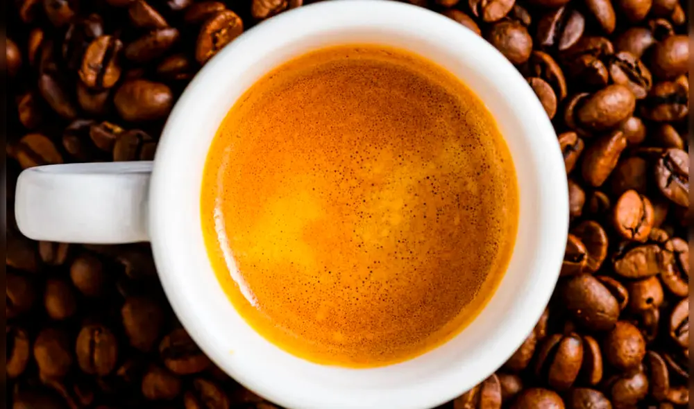 La clasificación de Taste Atlas se basa en las evaluaciones de una comunidad global de usuarios. Foto: Primula La clasificación de Taste Atlas se basa en las evaluaciones de una comunidad global de usuarios. Foto: Primula