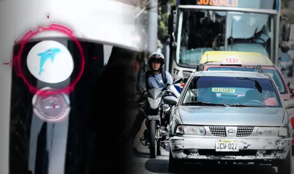 ¿Qué significa el sticker del delfín? La señal con la que extorsionadores clasifican a los colectiveros de la avenida Arequipa. Foto: composición LR/CapturaPanorama/Difusión ¿Qué significa el sticker del delfín? La señal con la que extorsionadores clasifican a los colectiveros de la avenida Arequipa. Foto: composición LR/CapturaPanorama/Difusión