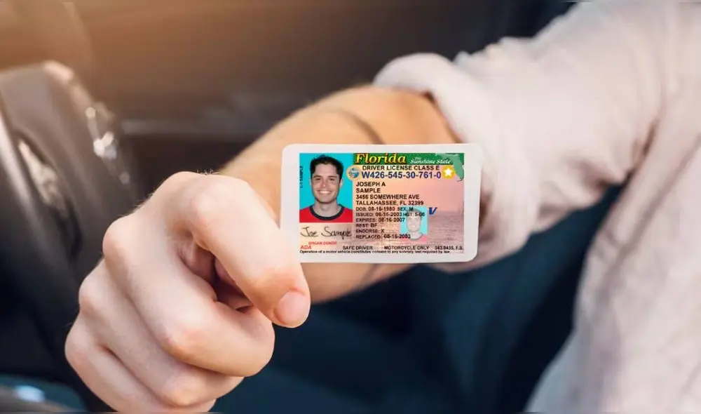 Precios de la licencia de conducir en Florida 2025. Foto: CNN Precios de la licencia de conducir en Florida 2025. Foto: CNN