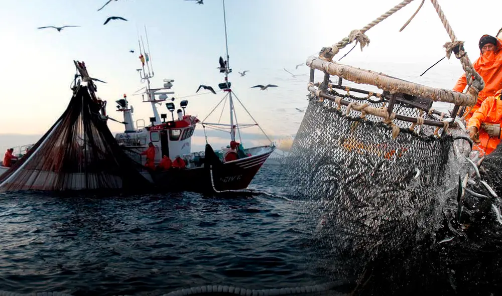 La congresista Lady Camones impulsa un controvertido proyecto que permitiría el uso de redes de cerco mecanizado en las primeras millas marinas, lo que ha generado un intenso debate entre los sectores pesqueros. Foto: Composición LR