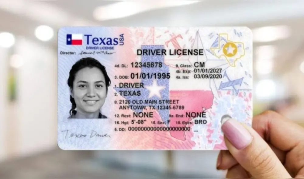 Así puedes sacar la licencia de conducir en Florida en este mes de marzo. Foto: CNN