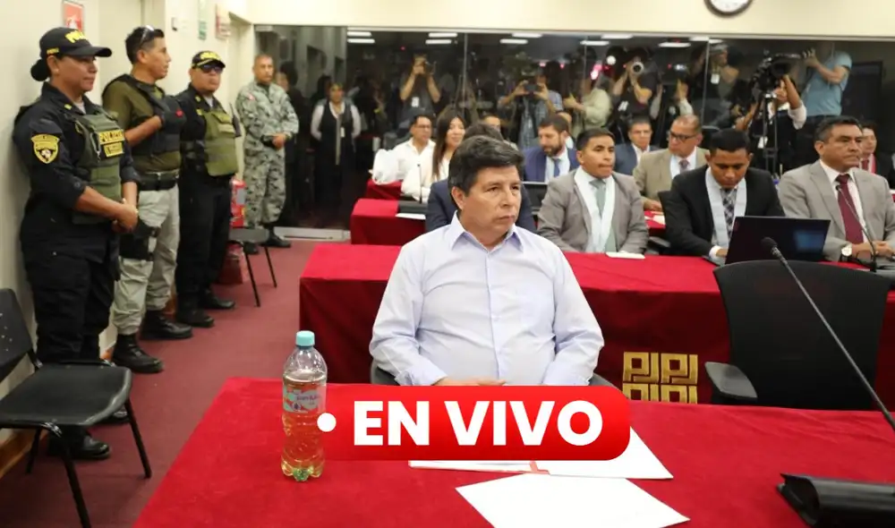 Pedro Castillo se presentó en la audiencia tras acatar huelga de hambre. Foto: composición LR