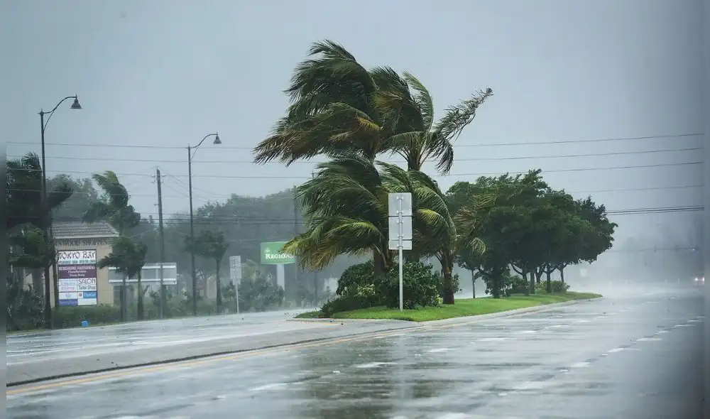 El clima en Florida mantendrá viento desde el norte y ráfagas podrán llegar a las 25 mph. Foto: Univison