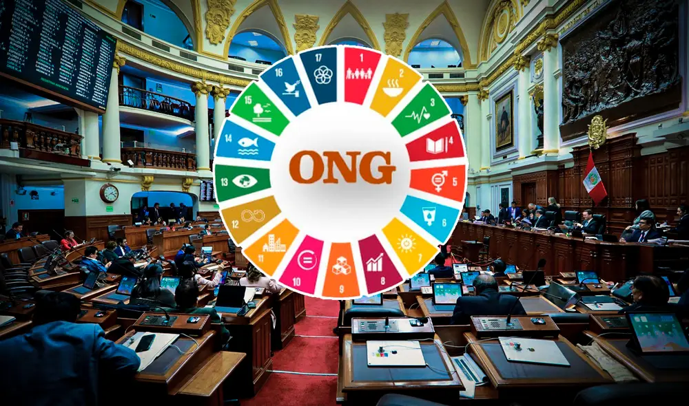 Las propuesta del Congreso buscan que se controlen desde los recursos hasta la cantidad de trabajadores y sus funciones de las ONG. Foto: composición LR