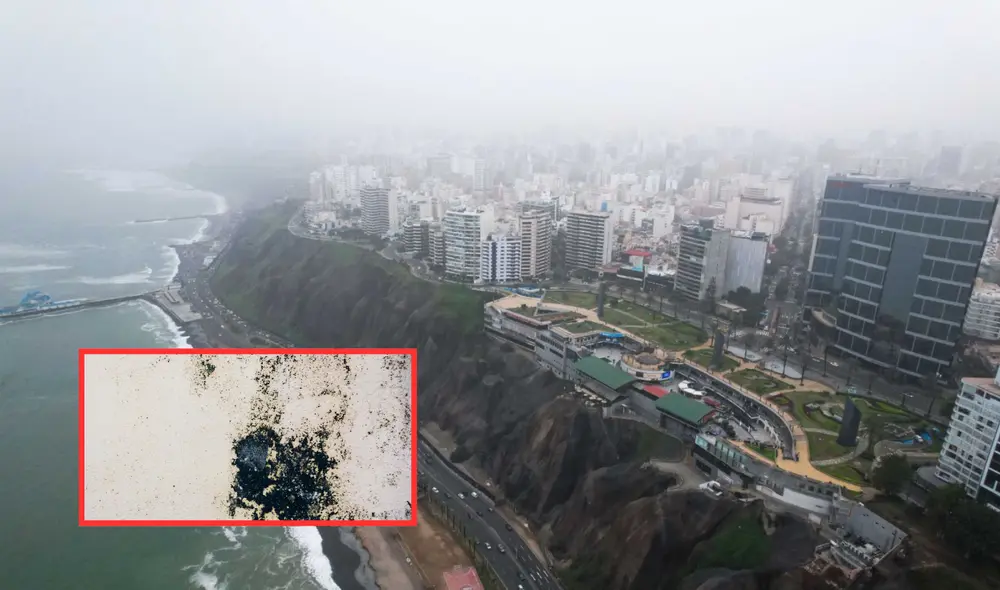 Según la CDC, las personas que son alérgicas al moho pueden tener dificultad para respirar y presentar falta de aire. Foto: Composición LR/ Andina/ Freepik Según la CDC, las personas que son alérgicas al moho pueden tener dificultad para respirar y presentar falta de aire. Foto: Composición LR/ Andina/ Freepik