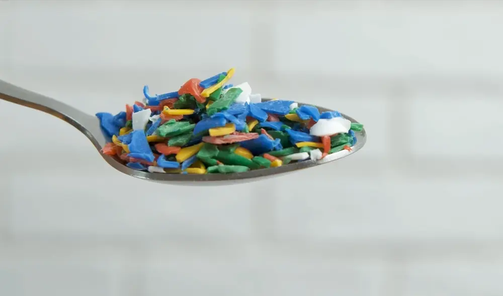 Un comunicado de Greenpeace revela una lista de 5 alimentos que contienen microplásticos y los efectos en la salud humana. Foto: Pexels