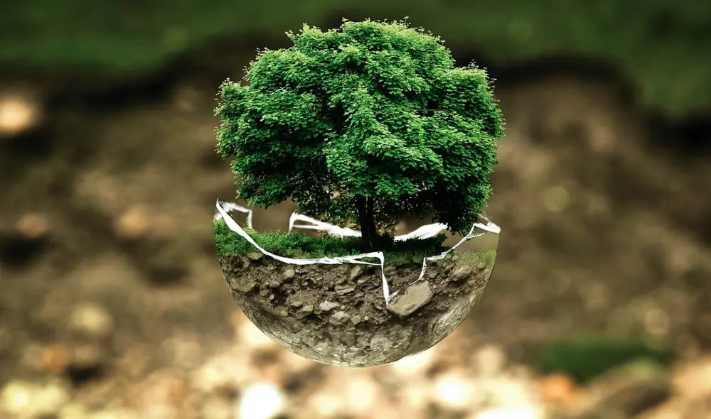 Gerente de Sostenibilidad de Convive destaca la importancia de invertir en propiedades rodeadas de naturaleza para respetar el medio ambiente.