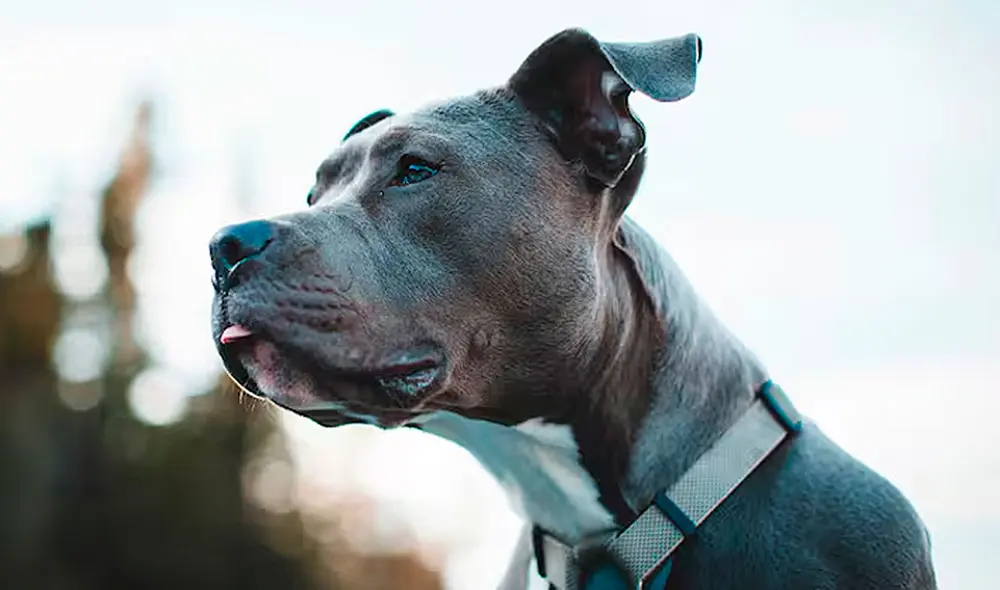 Foto: Emol Foto: Emol