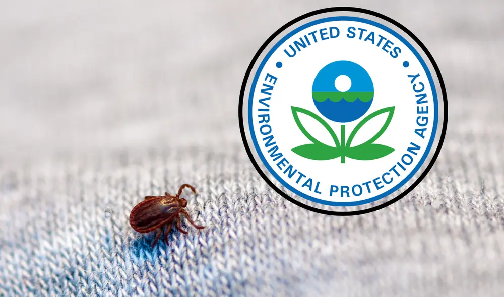 El EPA (Environmental Protection Agency) es una agencia del gobierno de EE. UU. encargada de proteger la salud humana y el medio ambiente. Foto: composición LR/ Shutterstock