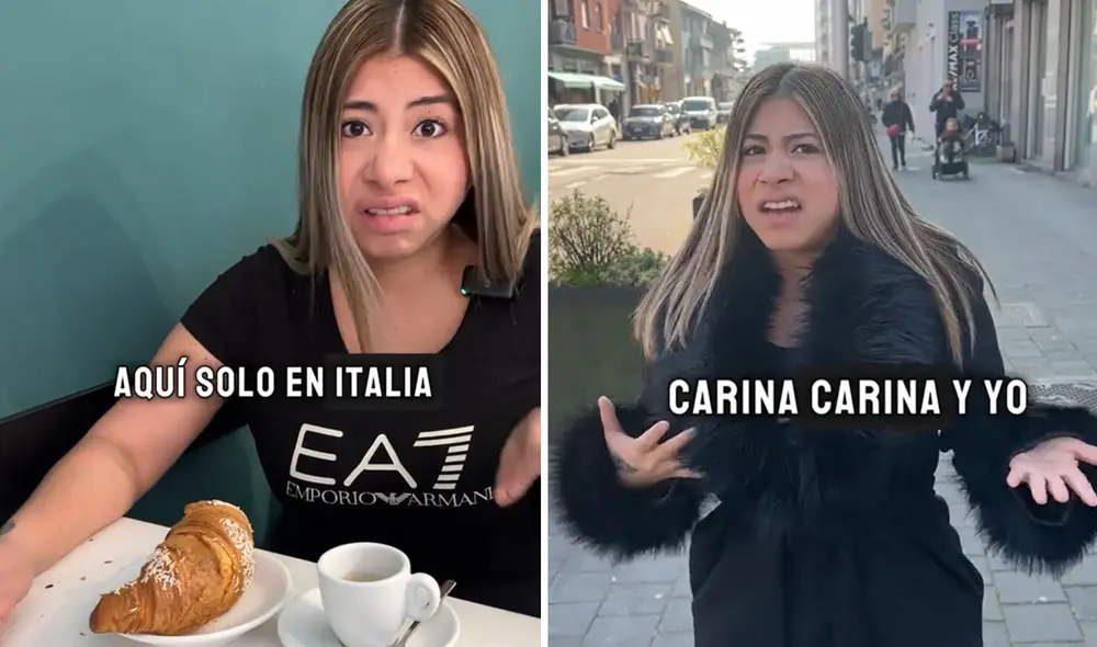 Clip generó diversas reacciones en redes. Foto: composición LR/ TikTok