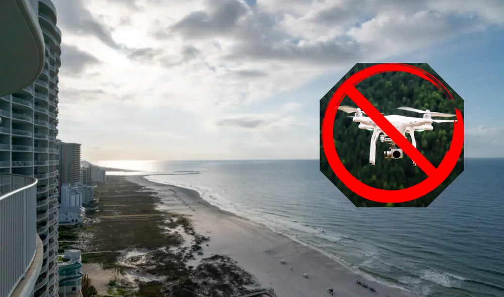 En Alabama, el uso de drones está regulado por la Administración Federal de Aviación (FAA) y las autoridades locales.Foto: composición LR/ Global Mediterránea