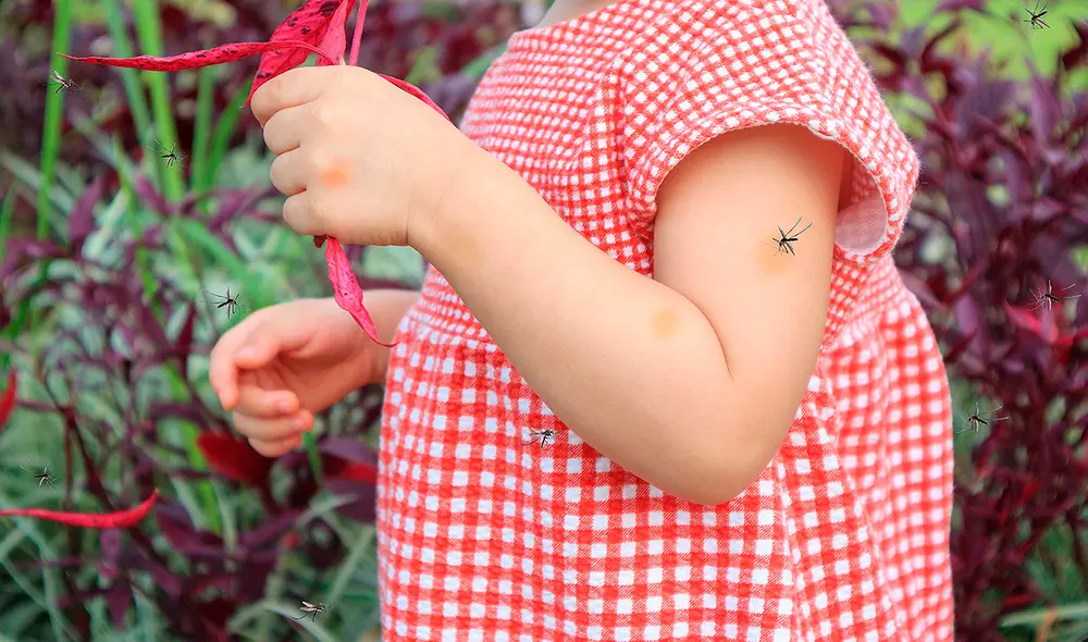 El dengue es una enfermedad viral que se transmite por la picadura del mosquito Aedes aegypti. Foto: Freepik.