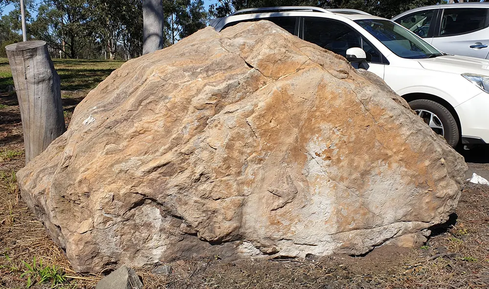 Huellas fosilizadas de dinosaurio han sido encontradas en una losa de roca acumulando polvo dentro de una escuela australiana. Foto: University of Queensland Huellas fosilizadas de dinosaurio han sido encontradas en una losa de roca acumulando polvo dentro de una escuela australiana. Foto: University of Queensland