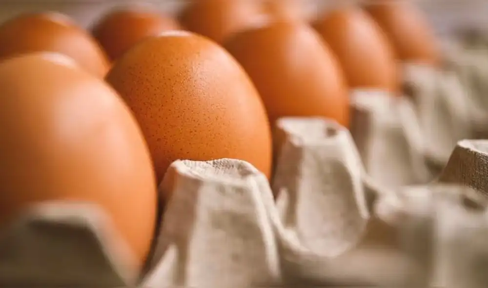 Según el USDA, los precios de los huevos han experimentado una ligera disminución actualmente. Foto: difusión.